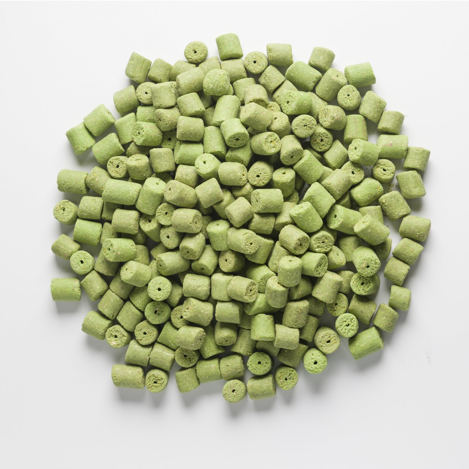 Sklep Rapid pellets Easy Catch - Garlic (5kg | 16mm)