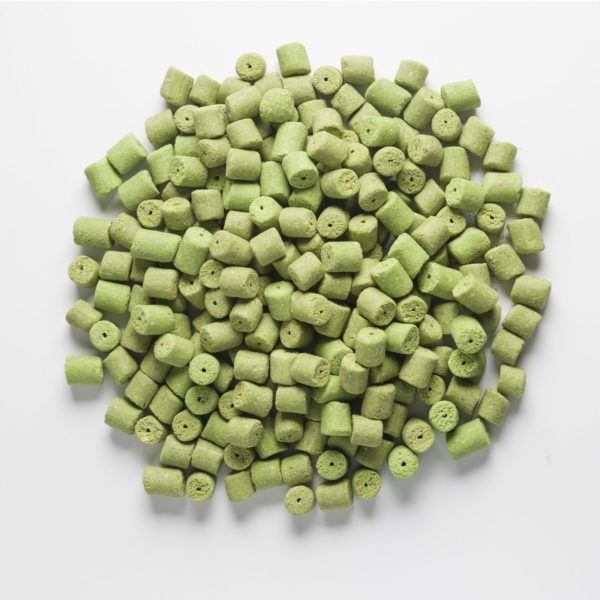 Sklep Rapid pellets Easy Catch - Garlic (5kg | 4mm)