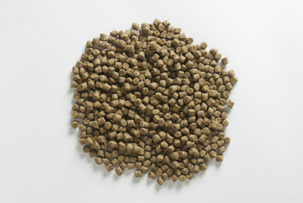 Sklep Rapid pellets - Turbo (1kg | 12mm)