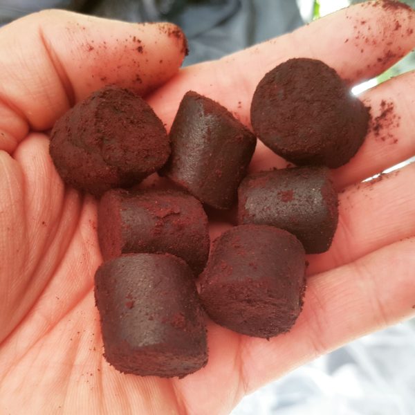 Genesis Carp GENESIS CARP Pellet Blood Halibut SUM/KARP 30mm 5kg