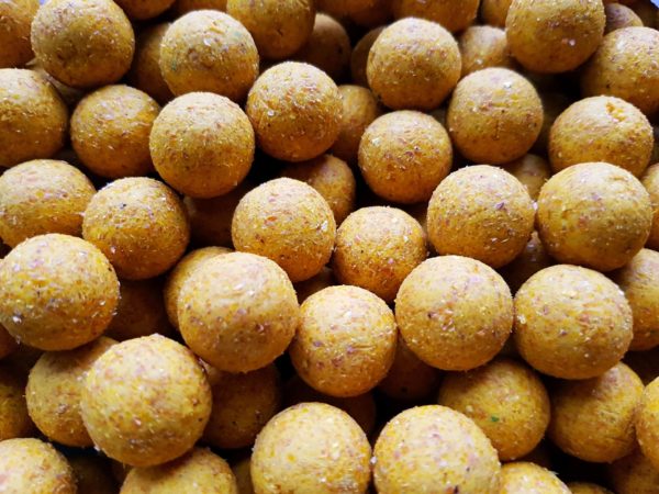 Genesis Carp Genesis Carp Słodka Kukurydza 16mm 1kg