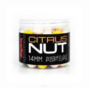 MUNCH BAITS MUNCH BAITS WASHED OUT POP UP CITRUS NUT 14MM