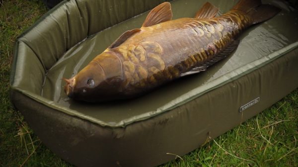 Trakker Sanctuary Self Inflating Crib XL Mata karpiowa samopompująca się InfinityCarp.pl