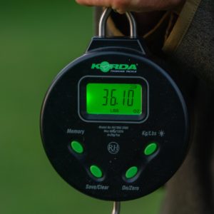 Scales Korda Limited Edition Scales KORDA Digital Scale 132lb/60kg - KSCD