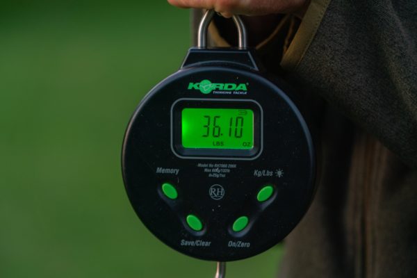 Scales Korda Limited Edition Scales KORDA Digital Scale 132lb/60kg - KSCD