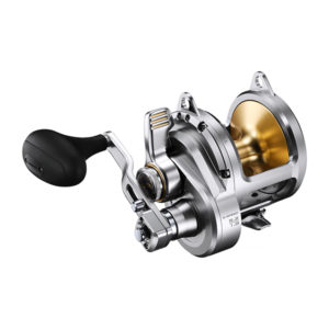 Sklep Shimano 20lb 2-Biegowy Prawa Ręka Multiplikator Tallica II A