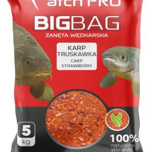 BIG BAG KARP TRUSKAWKA Zanęta MatchPro 5kg Zanęty