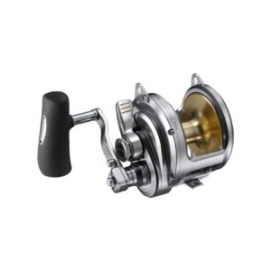 Sklep Shimano 40lb 2-Biegowy Prawa Ręka Multiplikator Tallica II A