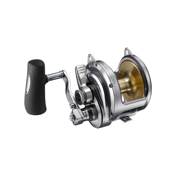 Sklep Shimano 40lb 2-Biegowy Prawa Ręka Multiplikator Tallica II A
